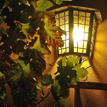 Elbschloesschen Refugium Гостевой дом Пирна