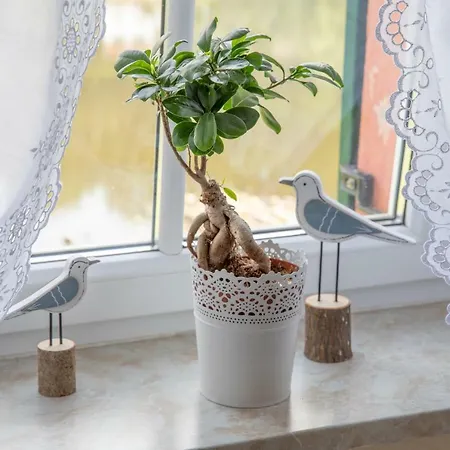 Elbschloesschen Refugium 3*