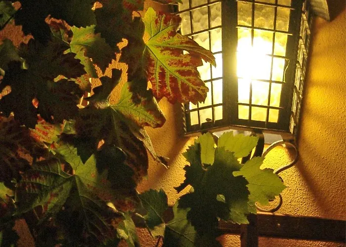 Elbschloesschen Refugium Pensionat Pirna