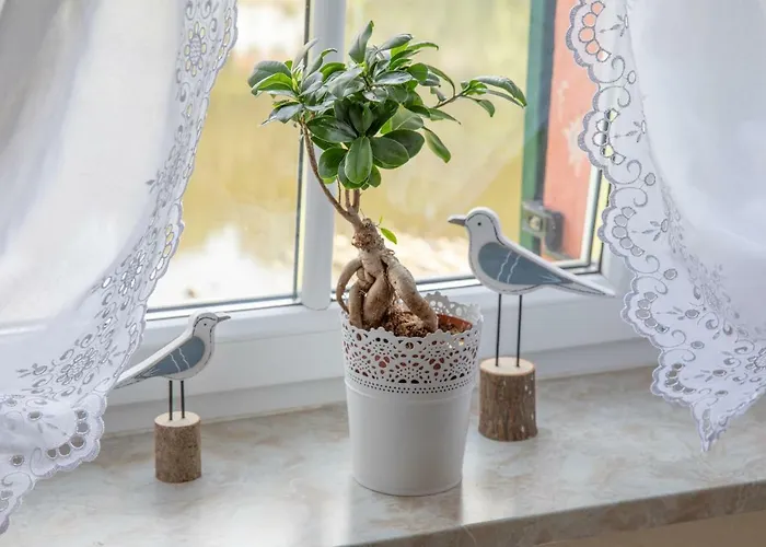 Elbschloesschen Refugium 3*